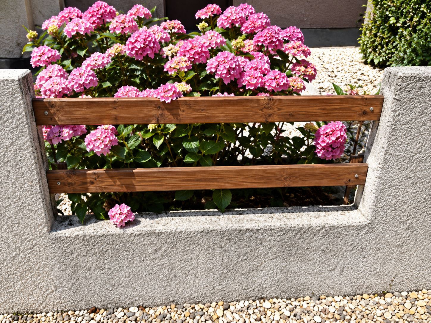 Une jardinière en bois garnie d'hortensias roses et de petites fleurs blanches est posée sur un muret blanc.